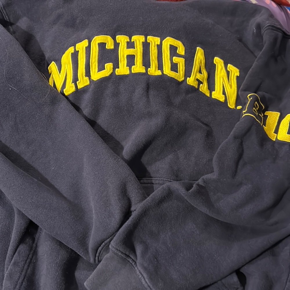 B1G Michigan hoodie